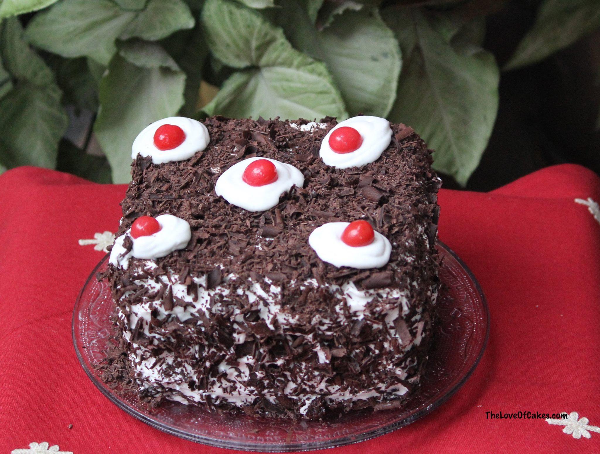 Best Black Forest Cake In Delhi | Order Online